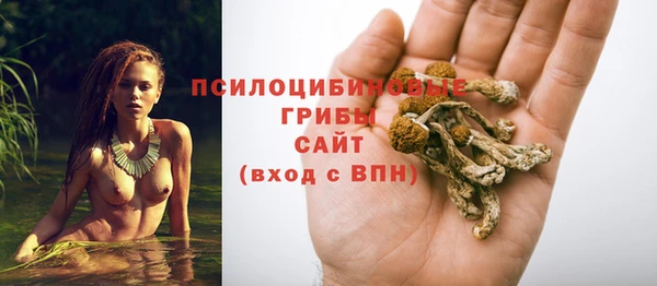 дживик Киренск