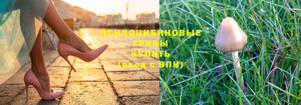 дживик Киренск