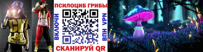 Купить  Гатчина  Галлюциногенные грибы MAGIC MUSHROOMS 